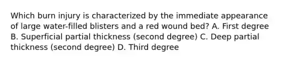 Which burn injury is characterized by the immediate appearance of large water-filled blisters and a red wound bed? A. First degree B. Superficial partial thickness (second degree) C. Deep partial thickness (second degree) D. Third degree