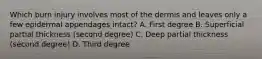 Which burn injury involves most of the dermis and leaves only a few epidermal appendages intact? A. First degree B. Superficial partial thickness (second degree) C. Deep partial thickness (second degree) D. Third degree