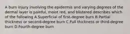 A burn injury involving the epidermis and varying degrees of the dermal layer is painful, moist red, and blistered describes which of the following A.Superficial of first-degree burn B.Partial thickness or second-degree burn C.Full thickness or third-degree burn D.Fourth-degree burn