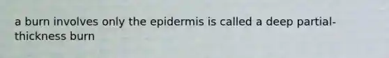 a burn involves only the epidermis is called a deep partial-thickness burn