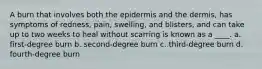 A burn that involves both the epidermis and the dermis, has symptoms of redness, pain, swelling, and blisters, and can take up to two weeks to heal without scarring is known as a ____. a. first-degree burn b. second-degree burn c. third-degree burn d. fourth-degree burn