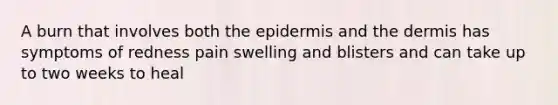 A burn that involves both the epidermis and the dermis has symptoms of redness pain swelling and blisters and can take up to two weeks to heal