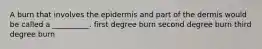 A burn that involves the epidermis and part of the dermis would be called a __________. first degree burn second degree burn third degree burn