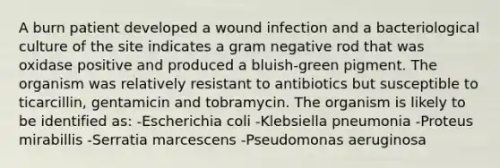 A burn patient developed a wound infection and a bacteriological culture of the site indicates a gram negative rod that was oxidase positive and produced a bluish-green pigment. The organism was relatively resistant to antibiotics but susceptible to ticarcillin, gentamicin and tobramycin. The organism is likely to be identified as: -Escherichia coli -Klebsiella pneumonia -Proteus mirabillis -Serratia marcescens -Pseudomonas aeruginosa