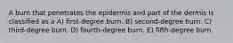 A burn that penetrates the epidermis and part of the dermis is classified as a A) first-degree burn. B) second-degree burn. C) third-degree burn. D) fourth-degree burn. E) fifth-degree burn.