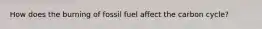 How does the burning of fossil fuel affect the carbon cycle?