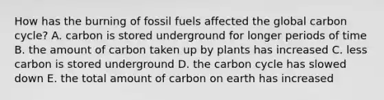 How has the burning of fossil fuels affected the global carbon cycle? A. carbon is stored underground for longer periods of time B. the amount of carbon taken up by plants has increased C. less carbon is stored underground D. the carbon cycle has slowed down E. the total amount of carbon on earth has increased