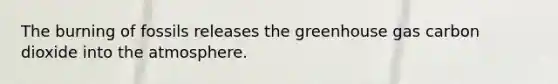 The burning of fossils releases the greenhouse gas carbon dioxide into the atmosphere.
