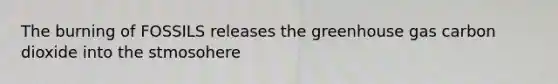 The burning of FOSSILS releases the greenhouse gas carbon dioxide into the stmosohere