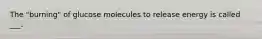 The "burning" of glucose molecules to release energy is called ___.