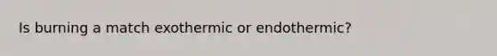 Is burning a match exothermic or endothermic?