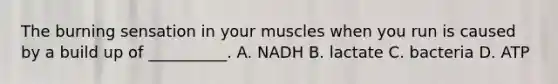 The burning sensation in your muscles when you run is caused by a build up of __________. A. NADH B. lactate C. bacteria D. ATP