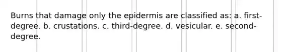 Burns that damage only the epidermis are classified as: a. first-degree. b. crustations. c. third-degree. d. vesicular. e. second-degree.