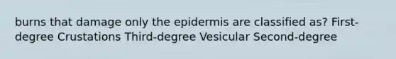 burns that damage only the epidermis are classified as? First-degree Crustations Third-degree Vesicular Second-degree