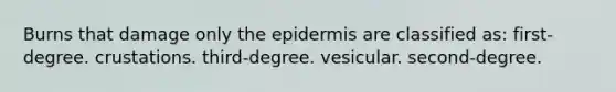 Burns that damage only the epidermis are classified as: first-degree. crustations. third-degree. vesicular. second-degree.