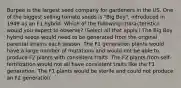 Burpee is the largest seed company for gardeners in the US. One of the biggest selling tomato seeds is "Big Boy", introduced in 1949 as an F1 hybrid. Which of the following characteristics would you expect to observe? (Select all that apply.) The Big Boy hybrid seeds would need to be generated from the original parental strains each season. The F1 generation plants would have a large number of mutations and would not be able to produce F2 plants with consistent traits. The F2 plants from self-fertilization would not all have consistent traits like the F1 generation. The F1 plants would be sterile and could not produce an F2 generation