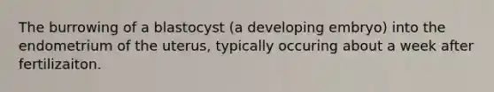 The burrowing of a blastocyst (a developing embryo) into the endometrium of the uterus, typically occuring about a week after fertilizaiton.