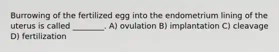 Burrowing of the fertilized egg into the endometrium lining of the uterus is called ________. A) ovulation B) implantation C) cleavage D) fertilization