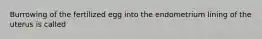 Burrowing of the fertilized egg into the endometrium lining of the uterus is called