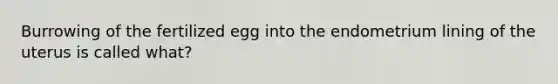 Burrowing of the fertilized egg into the endometrium lining of the uterus is called what?