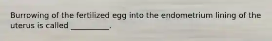 Burrowing of the fertilized egg into the endometrium lining of the uterus is called __________.