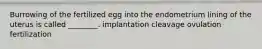 Burrowing of the fertilized egg into the endometrium lining of the uterus is called ________. implantation cleavage ovulation fertilization