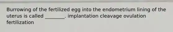 Burrowing of the fertilized egg into the endometrium lining of the uterus is called ________. implantation cleavage ovulation fertilization