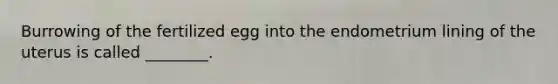 Burrowing of the fertilized egg into the endometrium lining of the uterus is called ________.