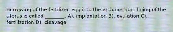 Burrowing of the fertilized egg into the endometrium lining of the uterus is called ________. A). implantation B). ovulation C). fertilization D). cleavage