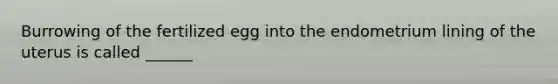 Burrowing of the fertilized egg into the endometrium lining of the uterus is called ______