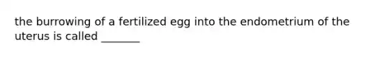 the burrowing of a fertilized egg into the endometrium of the uterus is called _______