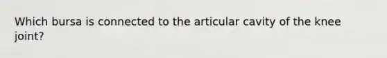 Which bursa is connected to the articular cavity of the knee joint?