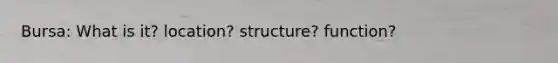 Bursa: What is it? location? structure? function?