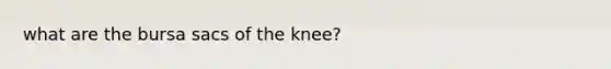 what are the bursa sacs of the knee?