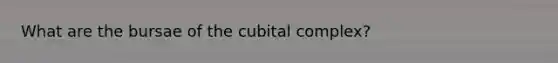 What are the bursae of the cubital complex?