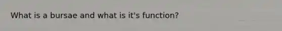 What is a bursae and what is it's function?