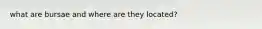 what are bursae and where are they located?