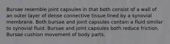 Bursae resemble joint capsules in that both consist of a wall of an outer layer of dense connective tissue lined by a synovial membrane. Both bursae and joint capsules contain a fluid similar to synovial fluid. Bursae and joint capsules both reduce friction. Bursae cushion movement of body parts.