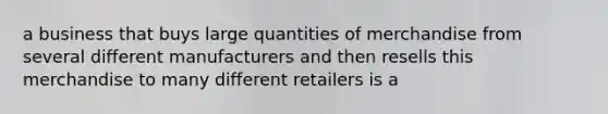 a business that buys large quantities of merchandise from several different manufacturers and then resells this merchandise to many different retailers is a