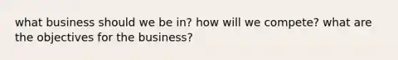 what business should we be in? how will we compete? what are the objectives for the business?