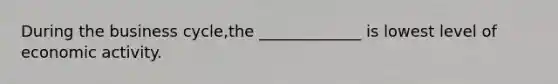 During the business cycle,the _____________ is lowest level of economic activity.