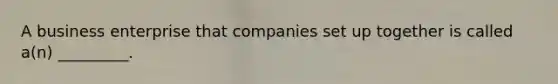 A business enterprise that companies set up together is called a(n) _________.