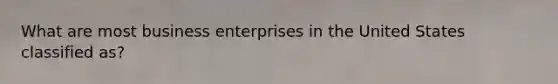 What are most business enterprises in the United States classified as?