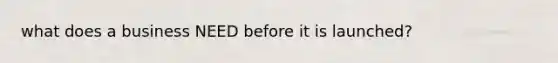 what does a business NEED before it is launched?
