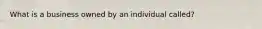 What is a business owned by an individual called?