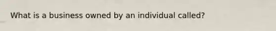 What is a business owned by an individual called?