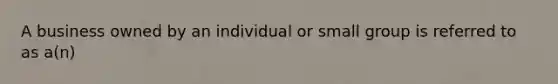 A business owned by an individual or small group is referred to as a(n)