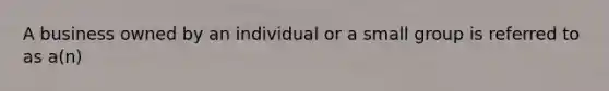 A business owned by an individual or a small group is referred to as a(n)