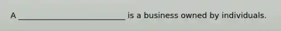 A ___________________________ is a business owned by individuals.