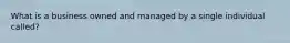 What is a business owned and managed by a single individual called?